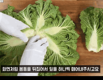 봄동겉절이 #koreanfood 조리과정 1