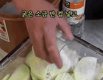 김치 #한국음식 조리과정 1