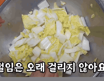 요리 #물김치 #나박김치 #레시피 조리과정 5