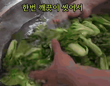 얼갈이 #보리물김치 #레시피 조리과정 2