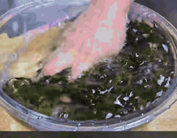 미역국 #koreanfood #요리 조리과정 1