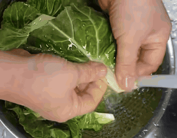 봄동비빔밥 #koreanfood 조리과정 2