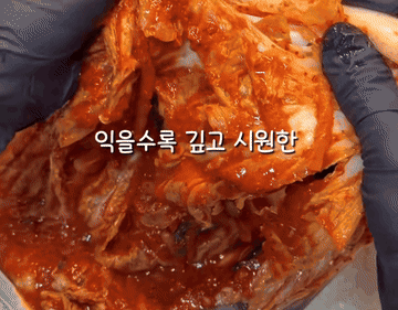 김치#koreanfood 조리과정 4