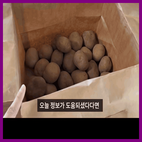 감자, 몇 달 뒤에도 갓 캔 것처럼 싱싱하게 보관하는 비법! 시장 사장님께 배운 꿀팁 대방출!