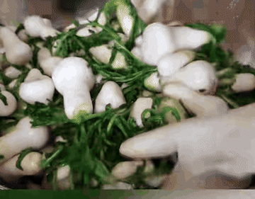 알타리김치#총각김치#레시피 #koreanfood 조리과정 4