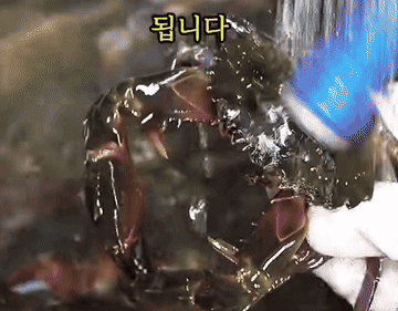 간장게장 #돌게장 #레시피 조리과정 1