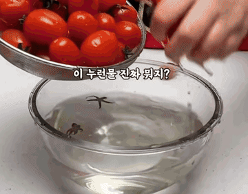 레시피 #요리 조리과정 5