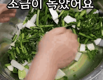 레시피 #반찬 #물김치#koreanfood 조리과정 6