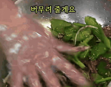 오이탕탕이 #레시피 조리과정 7