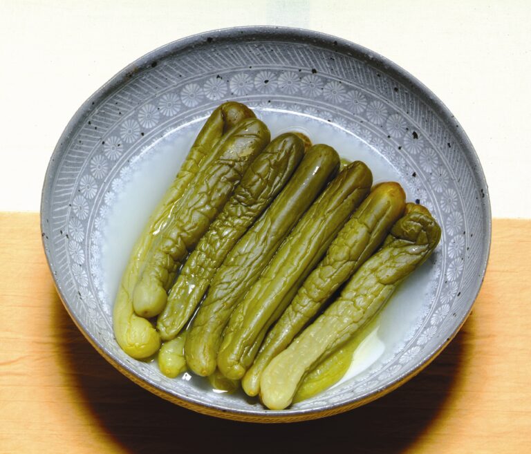 냉장고 속 처치 곤란 얼어버린 오이의 변신 꼬들함이 폭발하는 보약 오이짠지 - 오늘살림