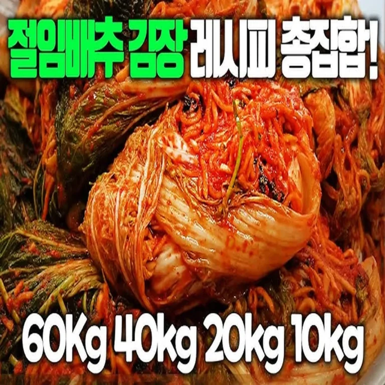배추 한 포기로 끝내는 자취생 소량 김장 황금 레시피 - 오늘살림