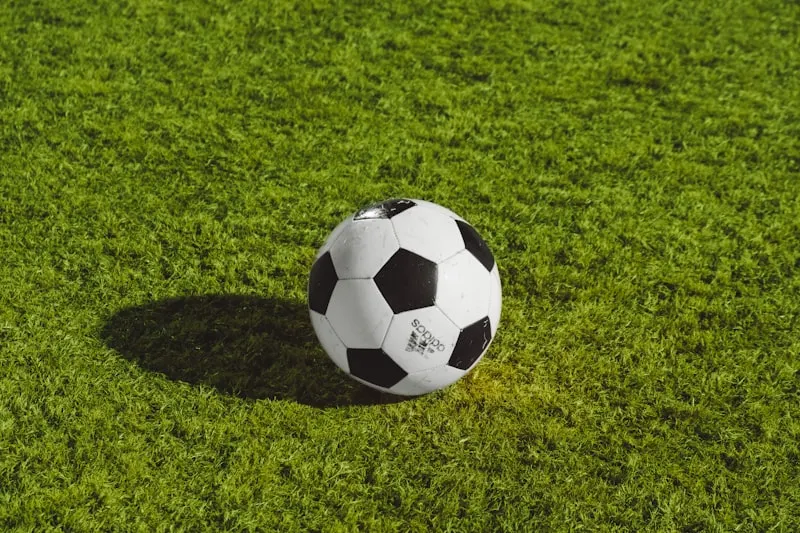 손흥민의 LAFC 이적과 0골 부진: 원인과 전망