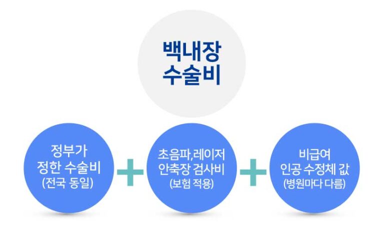 백내장 수술 비용, 다초점 렌즈 실비 되나