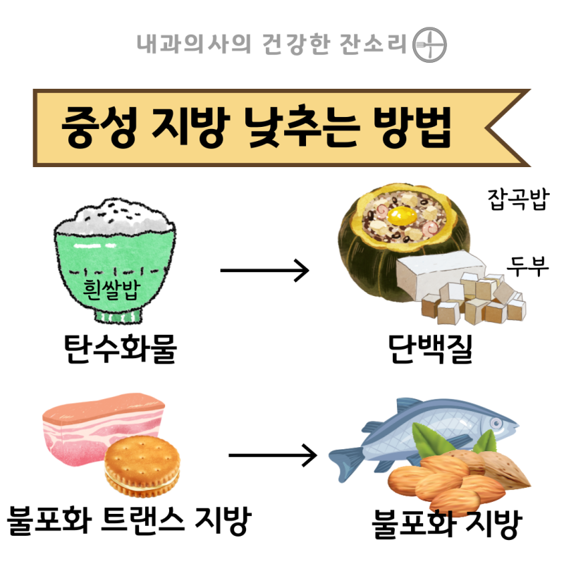 중성지방 낮추는 법, 수치 300에서 120으로