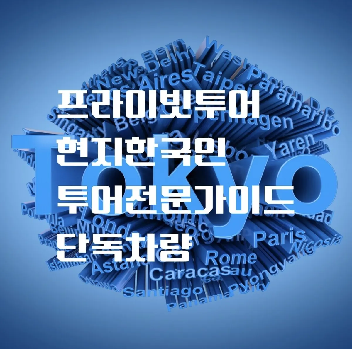 '도쿄 시내투어', 혼자 떠나는 여행 「Tokyo2000」 🚩프라이빗 단독차량… 실제 마이리얼트립 상품 이미지 2