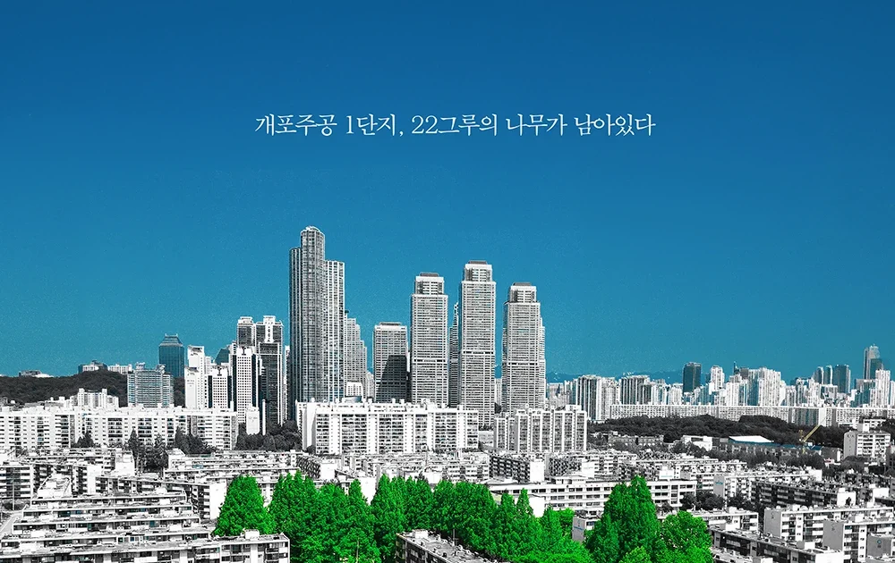 콘크리트 녹색섬, 나무 한 그루에서 시작된 도시의 기억