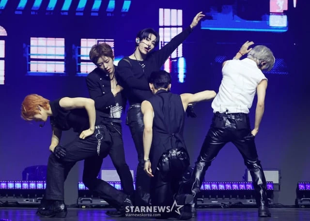 나우즈 퍼포먼스 이미지