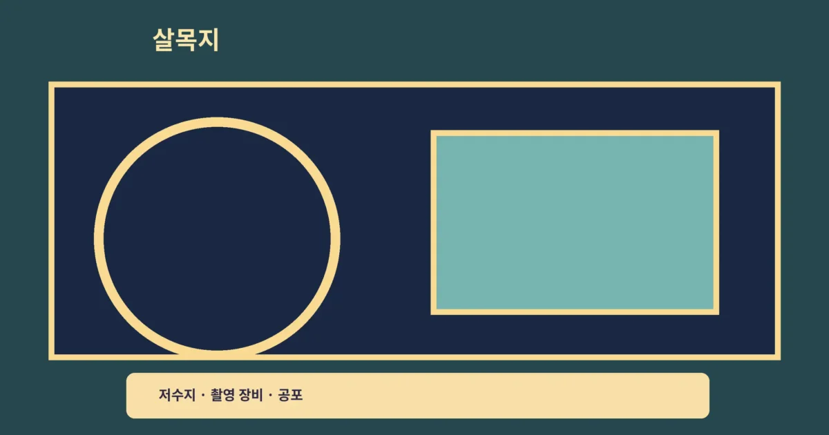 ‘살목지 쿠팡플레이’ 한국 공포, 저수지 촬영팀의 단서를 따라가요