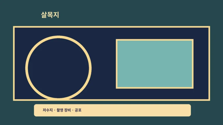‘살목지 쿠팡플레이’ 한국 공포, 저수지 촬영팀의 단서를 따라가요